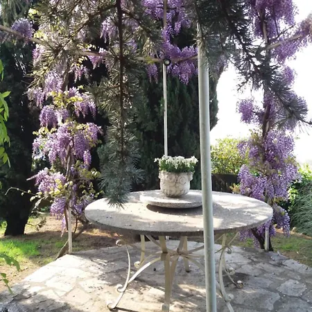 Novecento Bollengo