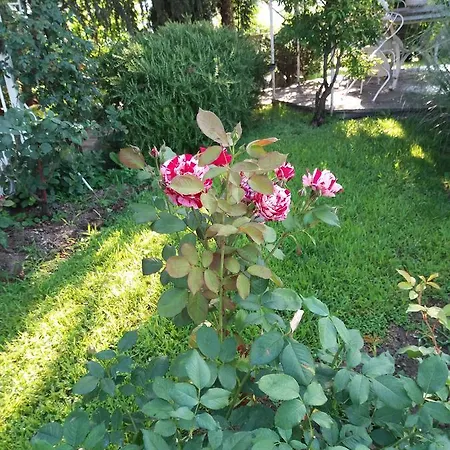 Novecento 4* Bollengo