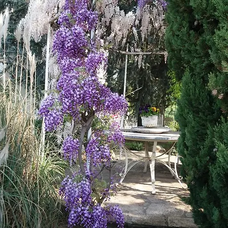 Novecento Frühstückspension