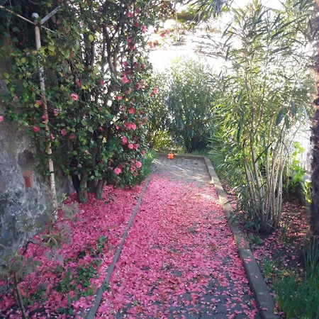 Novecento Bed & Breakfast